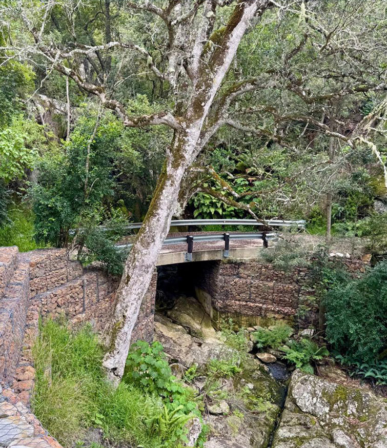 Phambili-Civils-Bridge